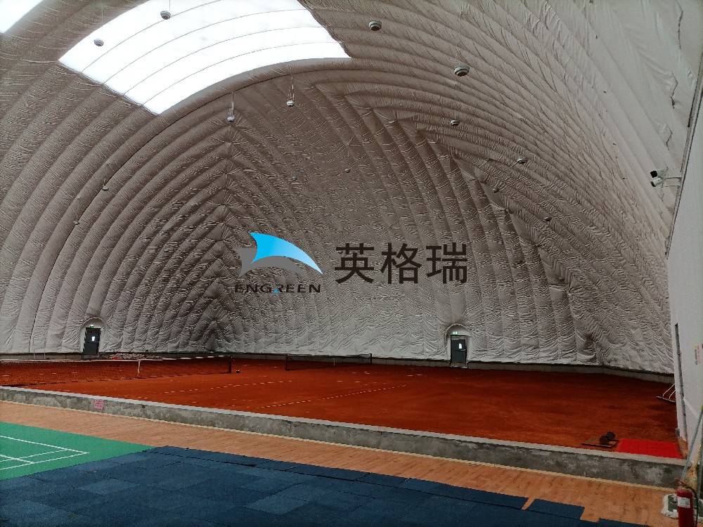 探索充麻豆AV一区二区球馆的经济性和实用价值