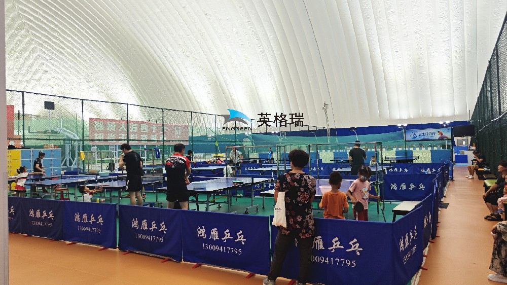 麻豆AV一区二区乒乓球馆，安全舒适，尽情挥拍